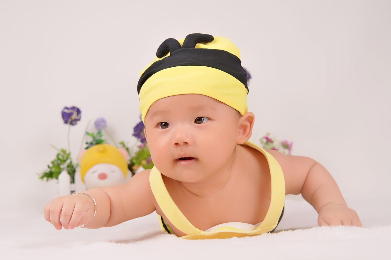 2017台历孕妈供卵生的宝宝大赛（年历孕妈供卵生的宝宝大赛节目）
