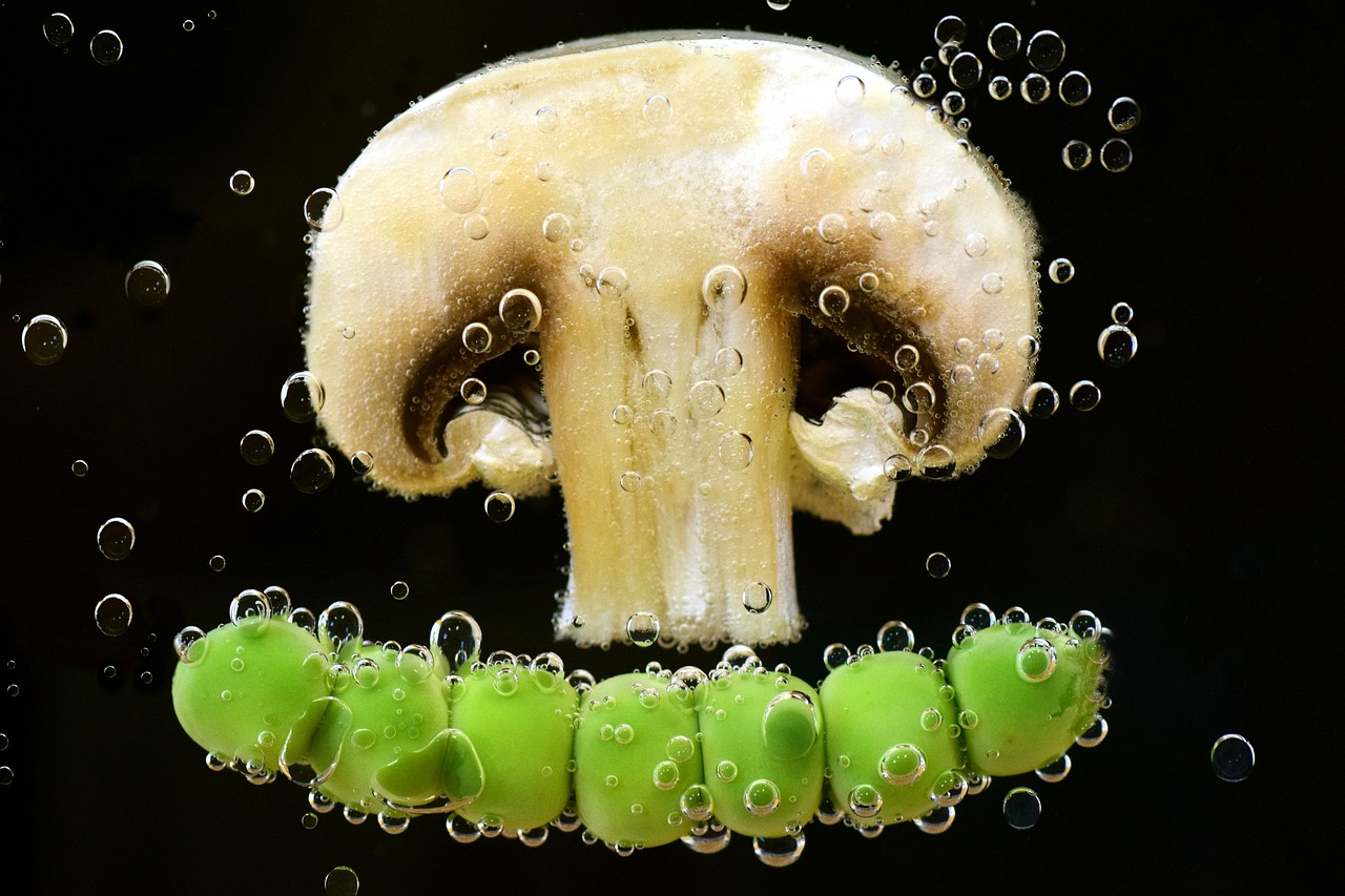 试管代生的孩子头上有虱子怎么治（试管代生的孩子头上有虱子怎么办?怎么能彻底清除?）
